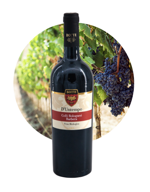 barbera
