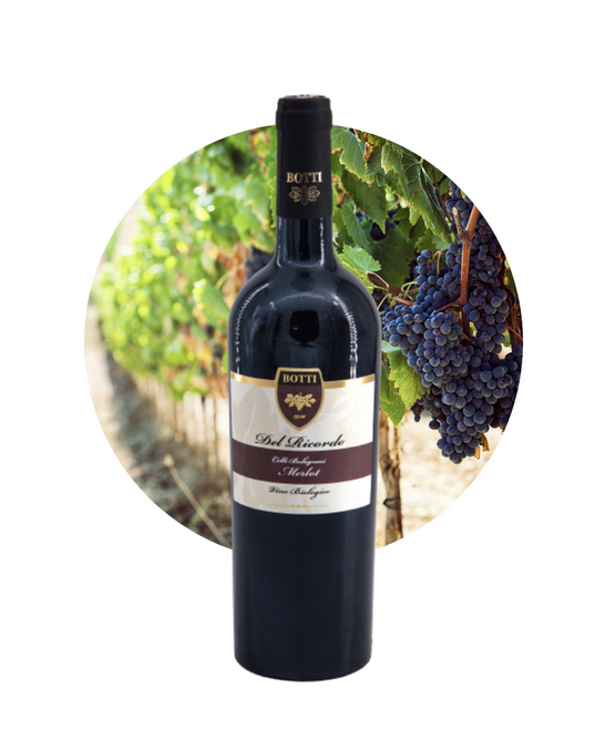 merlot