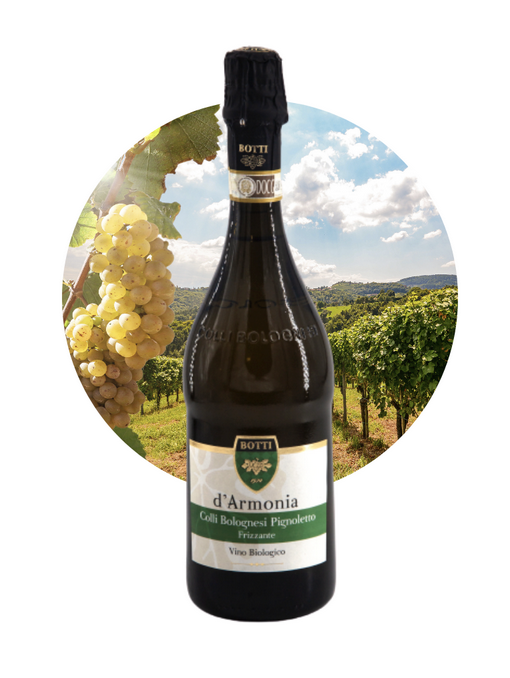 botti-pignolettofrizzante